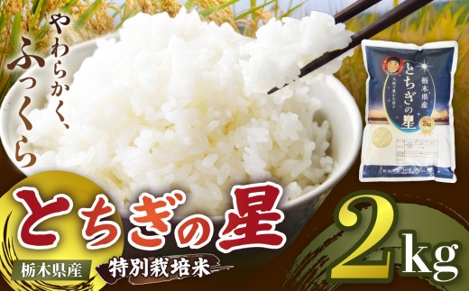 栃木県矢板市産 とちぎの星 2kg 特別栽培米 【先行予約】新米  |  栃木県 矢板市