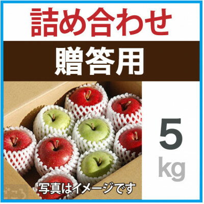 【ふるさと納税】贈答用　りんご　ミックスおまかせ　約5kg【1440033】