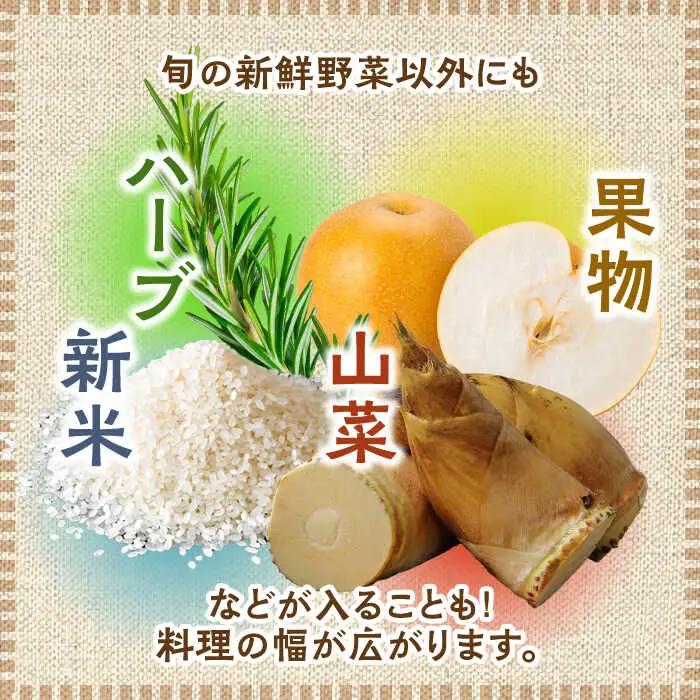 【全6回定期便】農家セレクト！特別栽培 日田の厳選食材 詰め合わせ日田市 野菜 果物 米 産地直送 新鮮 セット[ARBR003]
