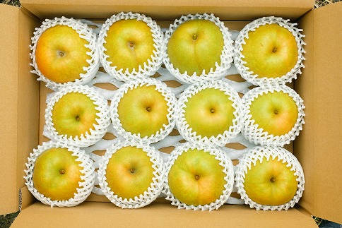 145．【予約受付中】【産地直送】鳥取県の梨「新甘泉」秀品　５kg　８～１４玉