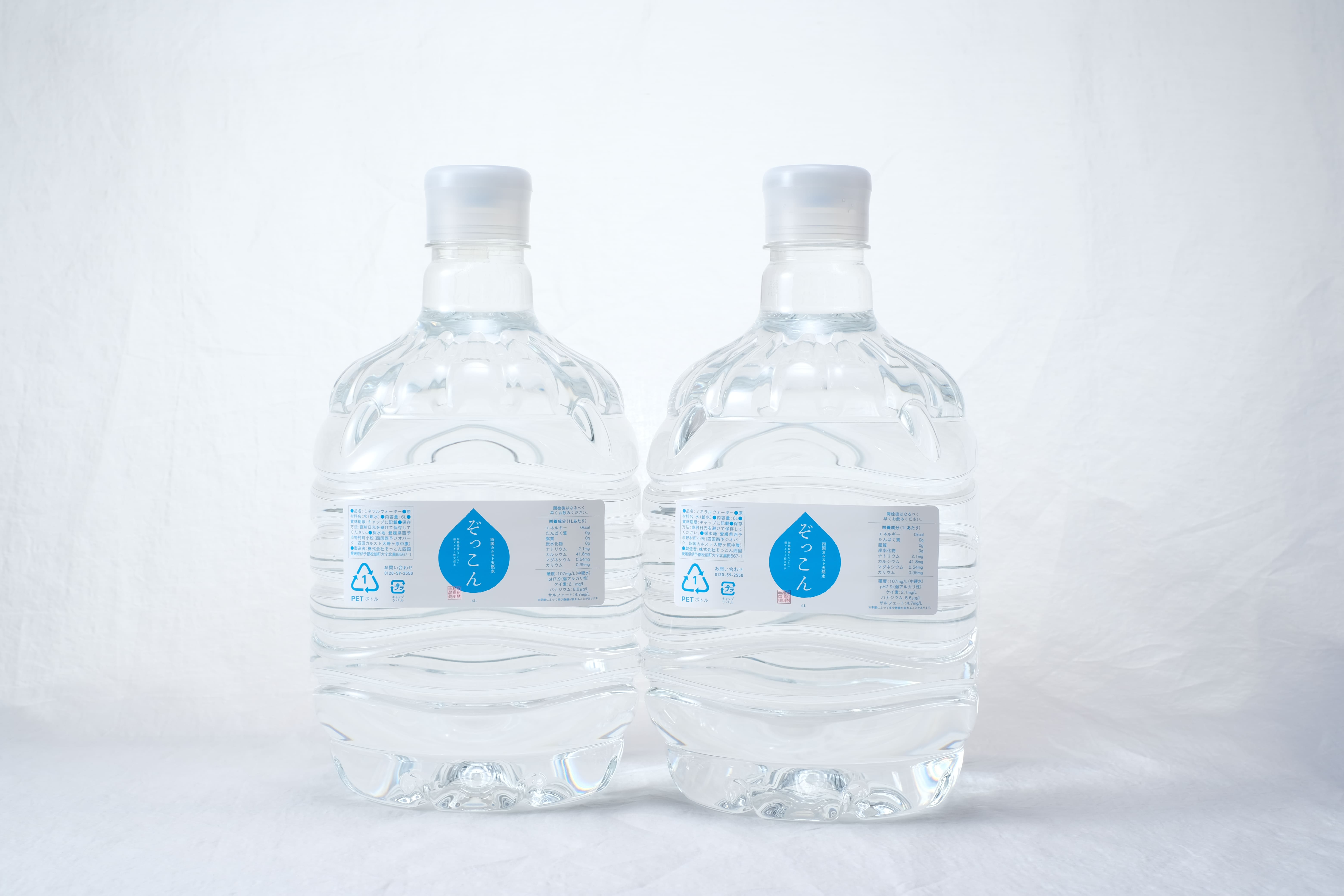 四国カルスト天然水ぞっこん 定期便（毎月6L×4本 1年間）レンタルサーバー付