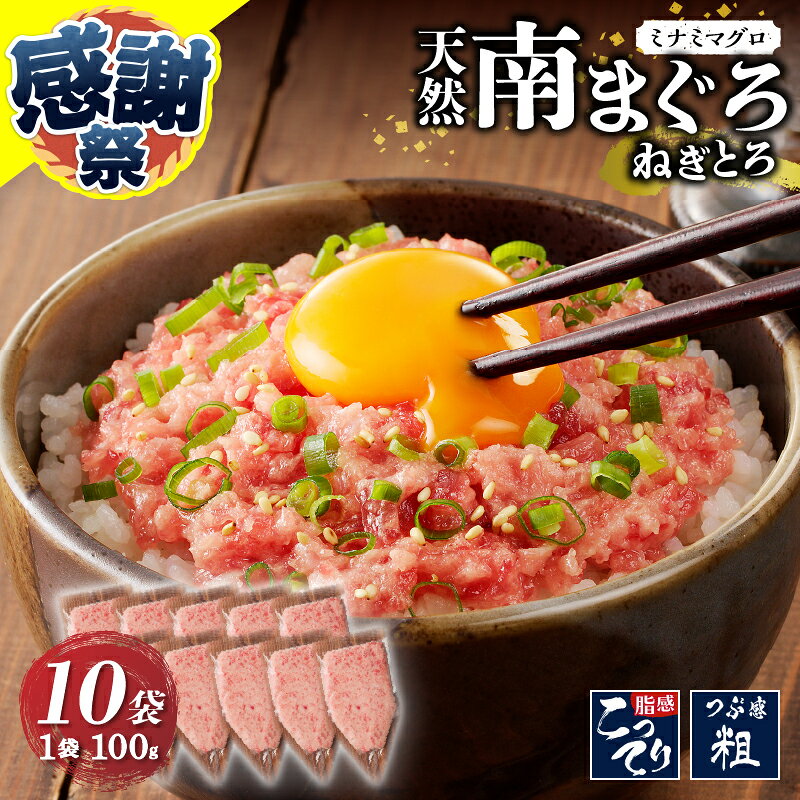 【ふるさと納税】 ネギトロ まぐろ 天然 南まぐろ 贅沢 100g×10袋 ねぎとろ 鮪 マグロ 小袋 冷凍 魚 焼津 a12-251
