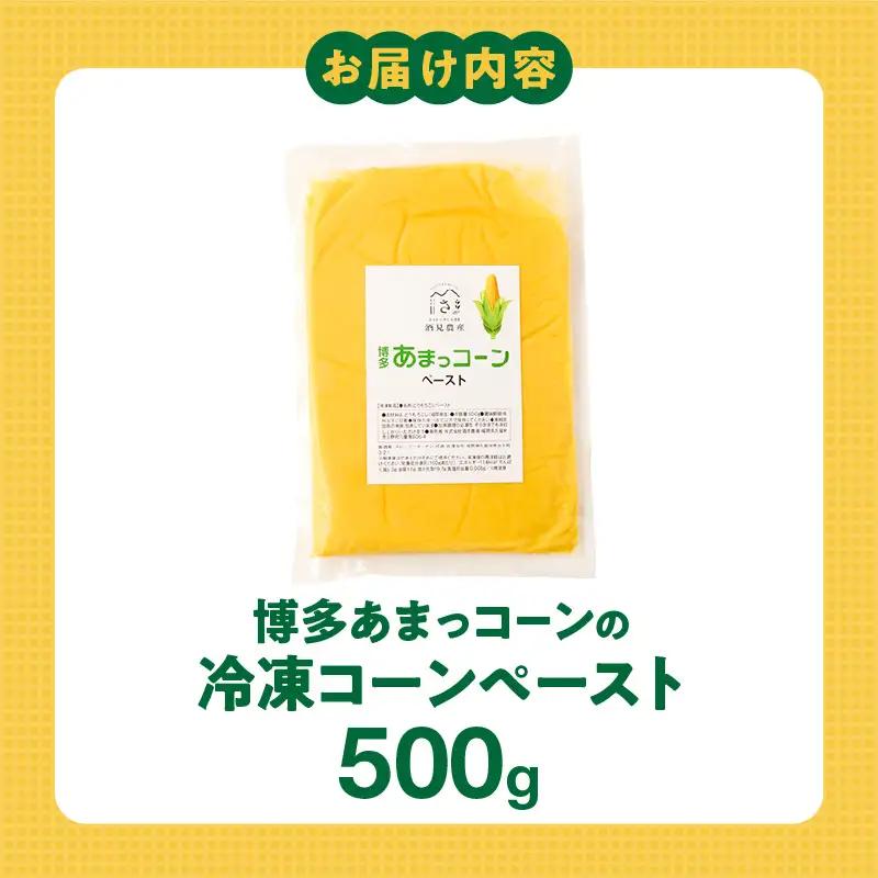 福岡県産 糖度17度以上 博多あまっコーンペースト500g 〔Gv050-01〕