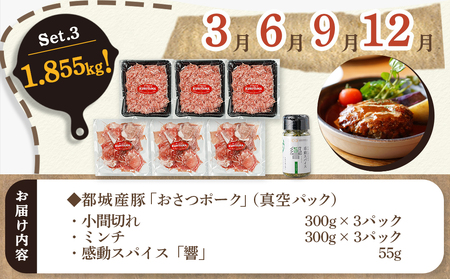 ≪3回連続お届け≫「おさつポーク」バラエティ定期便_T33-3-1401_(都城市) 豚肉 都城産豚 おさつポーク 真空 冷凍 3回連続 定期便