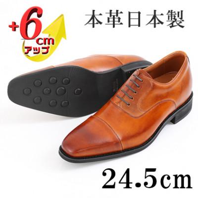 ふるさと納税 大和郡山市 牛革内羽根ストレートチップ 6cmアップシークレットシューズ No.1301 キャメル 24.5cm