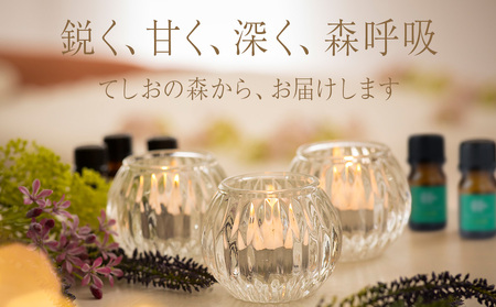 最北のトドマツ精油４ml エッセンシャル・オイル トドマツ