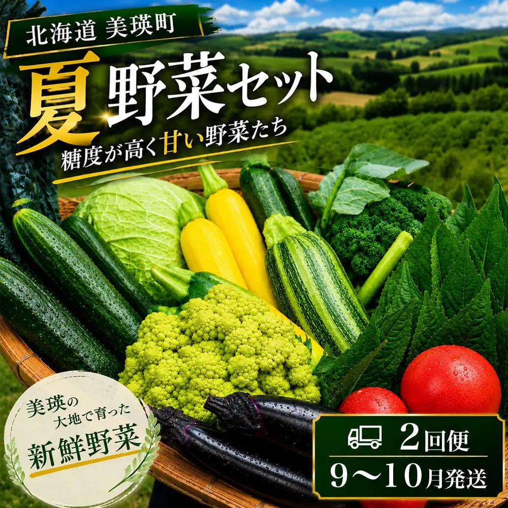 【令和8年産】旬の野菜7～9種の詰め合わせセット 定期便 2回便 9月～10月発送 美景農園