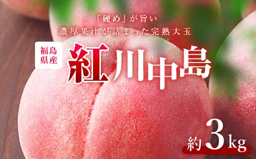
                  【2026年出荷分】福島県伊達市産 紅川中島 約3kg (9～10玉) 株式会社大喜 伊達の桃 桃 フルーツ 果物 もも モモ momo F21C-517
                