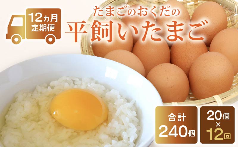 【定期便12回】 平飼い卵 20個入り たまご 卵 タマゴ 鶏卵