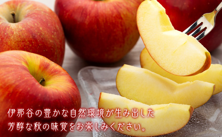 サンふじ 3kg 12玉 贈答用 サンふじ