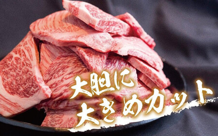 【2026年4月～7月発送】飛騨牛 訳あり 焼肉1kg 切りおとし | 牛肉 訳あり 丸明 LR008FAJ04-07