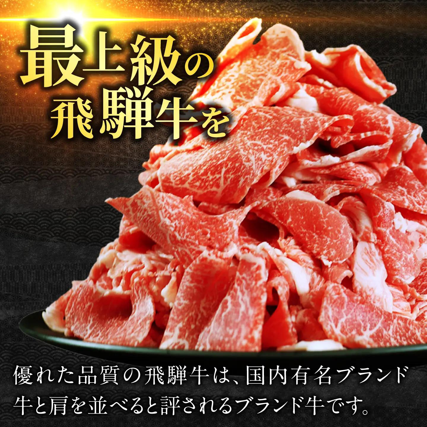 飛騨牛 生ハンバーグ 6個  生ハンバーグ[ANBO030]