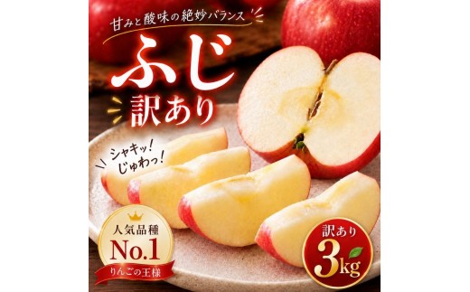 
                  りんご 訳あり 3kg 果物 フルーツ わけあり 不揃い 規格外 ご家庭用 宮城県 大河原町 産地直送 林檎 リンゴ くだもの 先行予約 送料無料
                