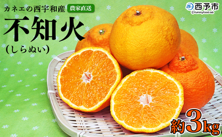 ＜カネエの西宇和産 不知火（しらぬい）3kg前後＞ 家庭用 農家直送 果物 くだもの フルーツ ミカン オレンジ 甘い おいしい サイズ混合 食べて応援 特産品 いのうえ農園 愛媛県 西予市【常温】『2026年2月下旬～3月上旬迄に順次出荷予定』MIN0001