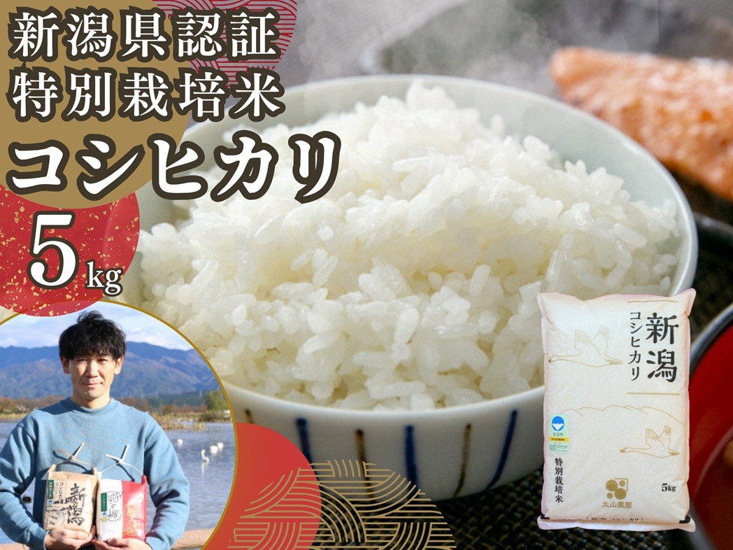 
                  【令和7年産】【新潟県認証米】 5kg 特別栽培米 従来コシヒカリ 阿賀野市産 丸山農園 米 こめ コメ 白米 精米 3F01013
                