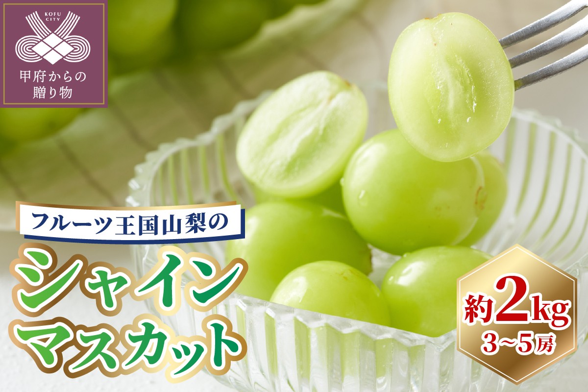 
                  シャインマスカット 先行予約 2kg 山梨 〈2026年度配送分〉しゃいんますかっと 3~5房(1箱2kg以上)262K
                