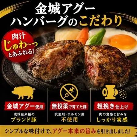 【琉球在来種・無投薬養豚】金城アグーハンバーグ 120g×8個【配送不可地域：離島】【1731178】