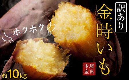 ＜2026年8月下旬以降発送・先行予約＞【訳あり】坂出金時いも　約5kg×2箱　2L～Mサイズ | さつまいも サツマイモ