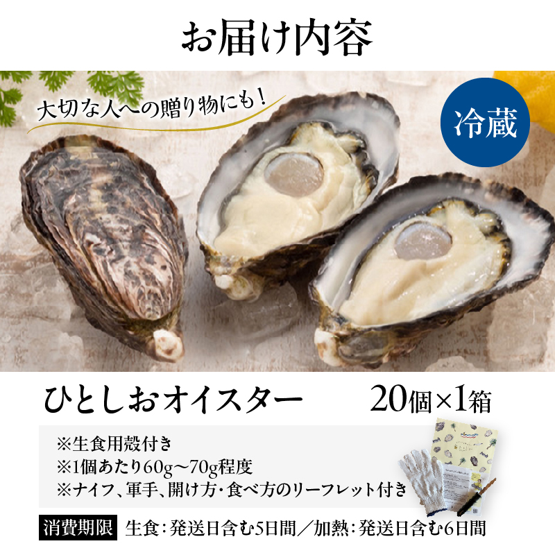 CB81-23_数量限定 ブランド 牡蠣 ひとしおオイスター 計20個 魚介 貝 かき 生食用 殻付き 国産 宮崎県産 おかず 食品 ギフト 生牡蠣 海鮮 BBQ 送料無料_イメージ5