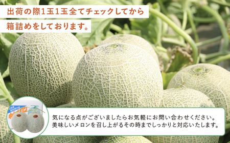 メロン 富良野産 赤肉メロン 大玉 メロン【1玉 1.6kg以上】