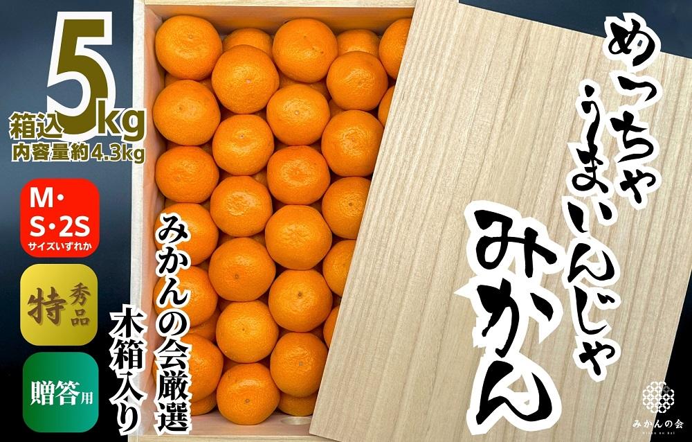 みかん めっちゃうまいんじゃ 木箱入 約5kg（内容量4.3kg）みかんの会厳選 特選品 M S 2S サイズのいずれか S品 贈答用［2026年11月中旬より順次出荷予定］［みかんの会］AX192