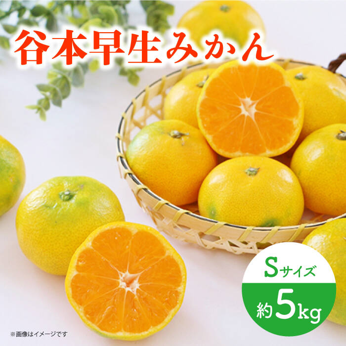 【ふるさと納税】【先行予約】極早生（谷本早生） みかん Sサイズ 約5kg ー2025年10月より発送ー 長与町/山口農園 [EBI006] 谷本 極早生 みかん 温州みかん 柑橘 フルーツ 果物 季節限定 長崎県産 長与町 産地直送 先行予約