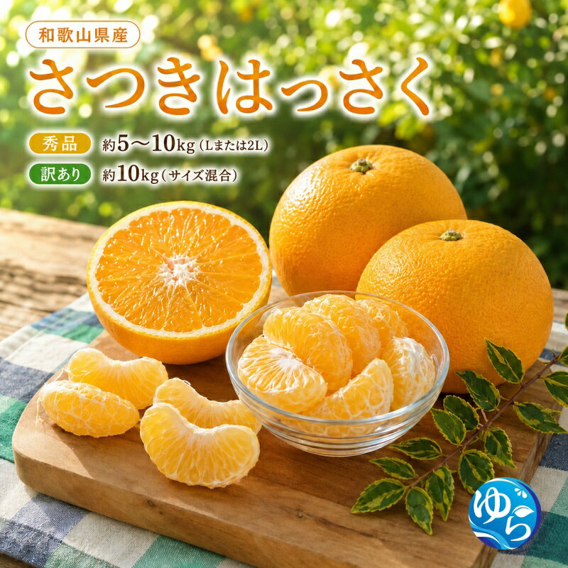 【ふるさと納税】 さつき はっさく 約 5kg ～ 約 10kg 秀品 or 訳あり / 八朔 フルーツ 果物 くだもの 食品 人気 おすすめ 送料無料 ※2027年3月下旬から4月下旬に順次発送