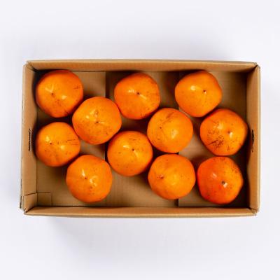 ふるさと納税 八幡浜市 【2026年発送】家庭用　富士柿　5.5kg〜6kg【C56-73】 |  | 01