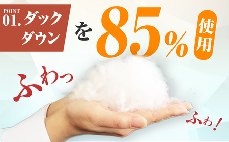 【色を選べる】筑後七国羽毛ふとん ダブル 羽毛0.4kg 広川町 / ヒラモリ株式会社[AFAO030]