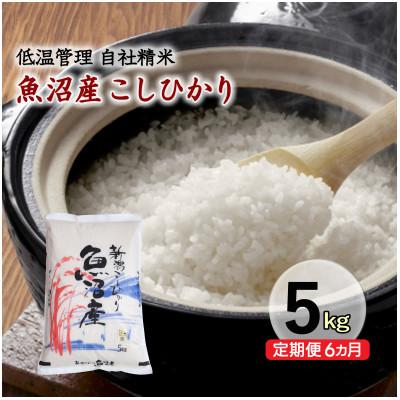ふるさと納税 十日町市 【毎月定期便】新潟県魚沼産コシヒカリ 厳選 低温管理 自社精米 5kg全6回