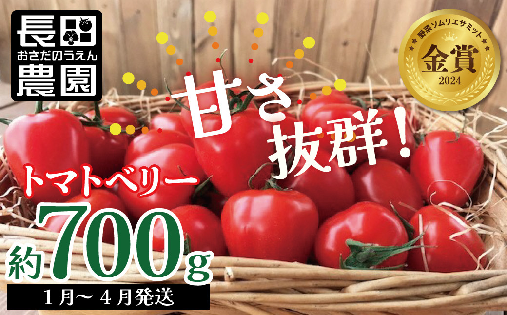 
            【2026年度予約分】【お試し】甘さ抜群!トマト嫌いでも食べられるトマトベリー 約700g（1月～4月発送） 野菜ソムリエサミット 金賞 受賞 長田農園  産地直送 トマト とまと 野菜 やさい フルーツ サラダ 濃厚 甘い ご褒美 プレゼント 美容 健康 リピート多数 人気 高評価 数量限定 碧南市 H004-125
          