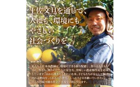 【先行予約】文旦 家庭用大玉 5キロ 5kg（3L～上限なし：7玉前後）〈2027年1月20日～発送〉皮むき器付き 訳あり 文旦 ぶんたん フルーツ 果物 高知 土佐市 大玉【土佐水谷農園】 [BQB