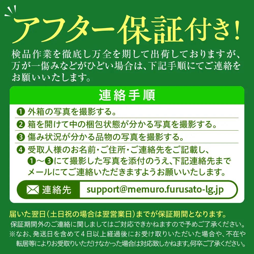 とうもろこし10本 イエロー 北海道 芽室 令和8年産 トウモロコシ
