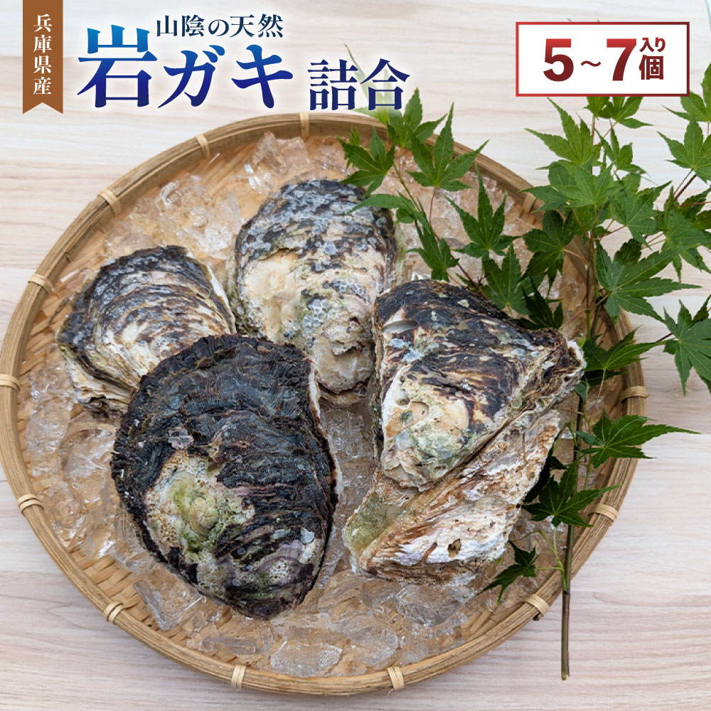 【ふるさと納税】山陰の天然岩ガキ詰合せ（大きさにより5～7個入） 1個250~400g程度 詰め合わせ セット 牡蠣は殺菌済 下処理済 生食OK カキ BBQ バーベキュー 貝類 魚介類 水産物 冷蔵 兵庫県産 国産 兵庫県 新温泉町 送料無料