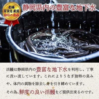 老舗百貨店自信の逸品　静岡県産うなぎの蒲焼(70g×3パック)・蒲焼きざみ(90g×1パック)セット【配送不可地域：離島】
