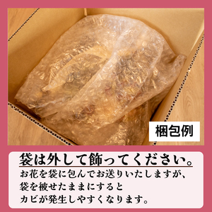 お正月飾り ラタンしめ縄 平むすび LN