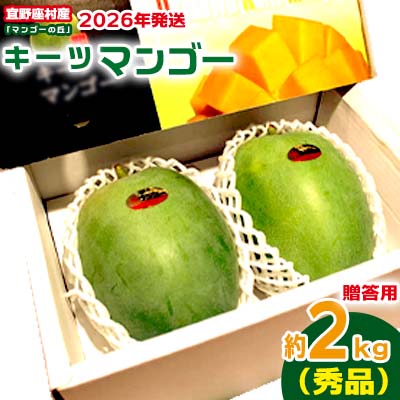 【ふるさと納税】【2026年発送】贈答用　宜野座村産キーツマンゴー「マンゴーの丘」秀品　約2kg フルーツ 甘い 美味しい 特徴 香り お取り寄せ Mango デザート 大きい 希少 贈り物 ビタミン おすすめ 贅沢 栄養価 国産 沖縄県 人気 産地直送 送料無料