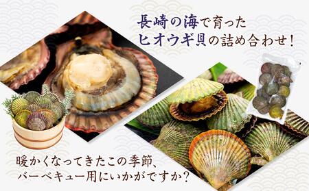 長崎県産 訳あり ヒオウギ貝 約2kg（16～30枚） 詰め合わせ