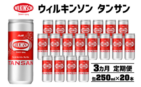 【3カ月連続定期便】ウィルキンソン タンサン 250ml缶 20本[ WILKINSON TANSAN 炭酸 炭酸水 強炭酸 缶 飲料 ]