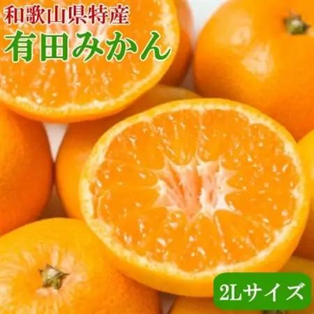 [秀品]和歌山有田みかん約6kg大玉(2Lサイズ) 「2026年11月中旬より順次発送」【日高町】【1711645】