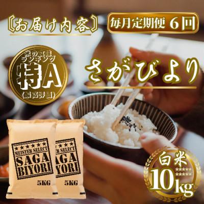 ふるさと納税 佐賀県 【毎月定期便】さがびより白米10kg(5kg×2袋)(佐賀県)【41ANAD016】全6回 |  | 03