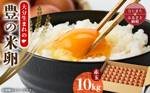 大分生まれのAW飼い「豊の米卵」10kg(赤卵)【配送不可地域：離島】