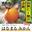 【ふるさと納税】【先行予約】 伊木力みかん 「はなまるみかん」（贈答用）5kg / みかん 蜜柑 ミカン 柑橘 フルーツ ふるーつ 果物 くだもの / 諫早市 / 株式会社山野果樹園 [AHCF003]