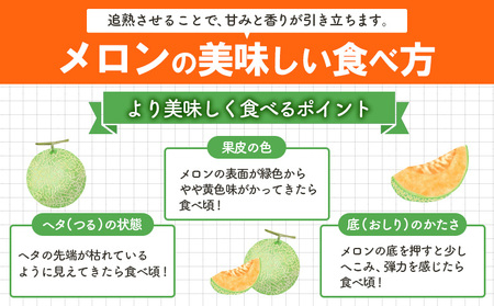 《2024年分受付中》大玉！とろける食感の北海道三笠メロン2玉入(3.2kg以上) 【01062】