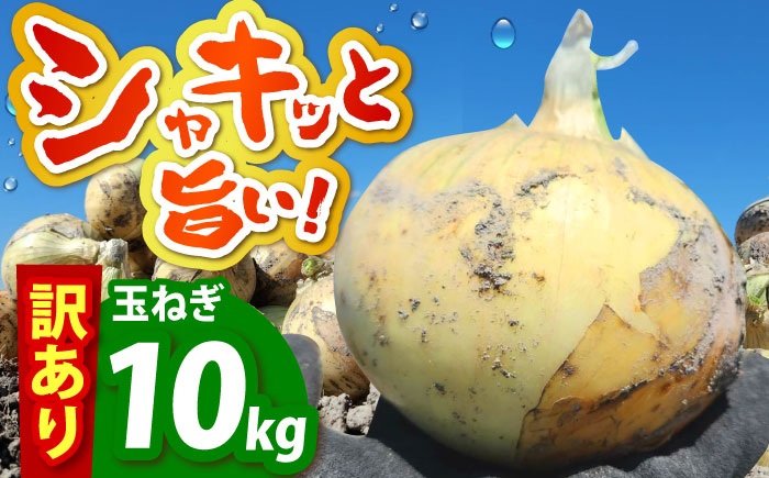 【今が旬!】 訳あり 新玉ねぎ 10kg（小玉）【えぐちファーム】 不揃い たまねぎ [HDE002]