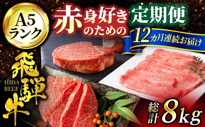 
            飛騨牛 【12回定期便】赤身 好きのためのコース 約4人前 A5ランク【有限会社マルゴー】和牛 霜降り 焼肉 モモ肉 ヒレ肉 [MBE028]
          
