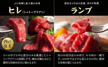 馬肉 熊本特産 フジチク 厳選 ふじ 馬刺し 6種 セット 道の駅竜北  熊本県 氷川町 肉 馬肉 大トロ 中トロ ヒレ シャトーブリアン ランプ 上赤身 ネギトロ ふじ馬刺し セット 食べ比べ