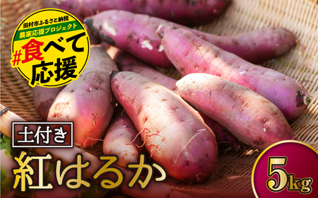 【先行予約】土付き さつまいも 「紅はるか」 5㎏ 10月中旬より順次発送 いも 芋 サツマイモ 焼き芋 スイーツ 栄養 レシピ 煮物 天ぷら 甘煮 おかず 蒸し芋 甘い 保存方法 成分 美容効果 収穫時期 品種 福島県 田村市 ひまわり農園 ひまわりおじさん