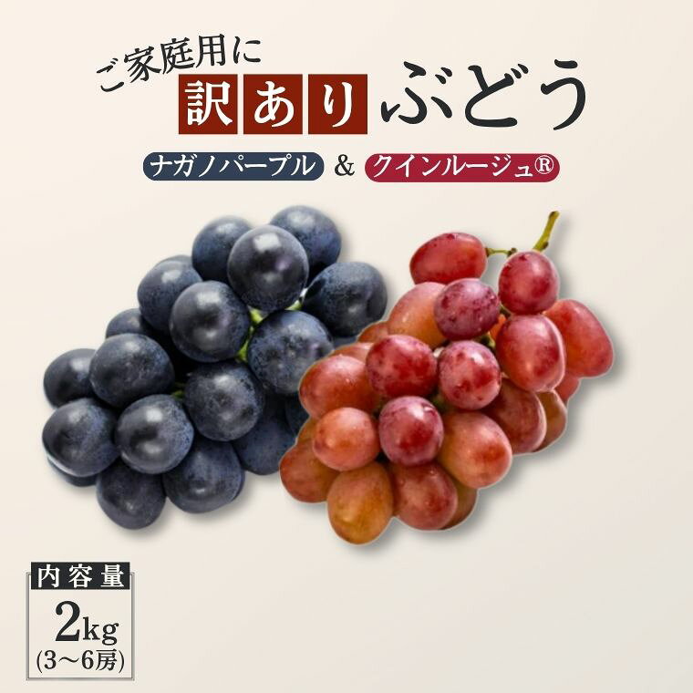 【ふるさと納税】ぶどう2種セット （ナガノパープル・クイーンルージュ）【家庭用】 約2kg [TK37]／ 2026年9月中旬～10月頃 配送予定