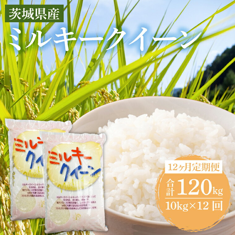 【ふるさと納税】【12ヶ月定期便】茨城県産ミルキークイーン　茨城県産 ミルキークイーン （ 5kg × 2袋 ）× 12ヶ月　お米 精米 白米 米 定期便 産地直送 送料無料 （KY-10）